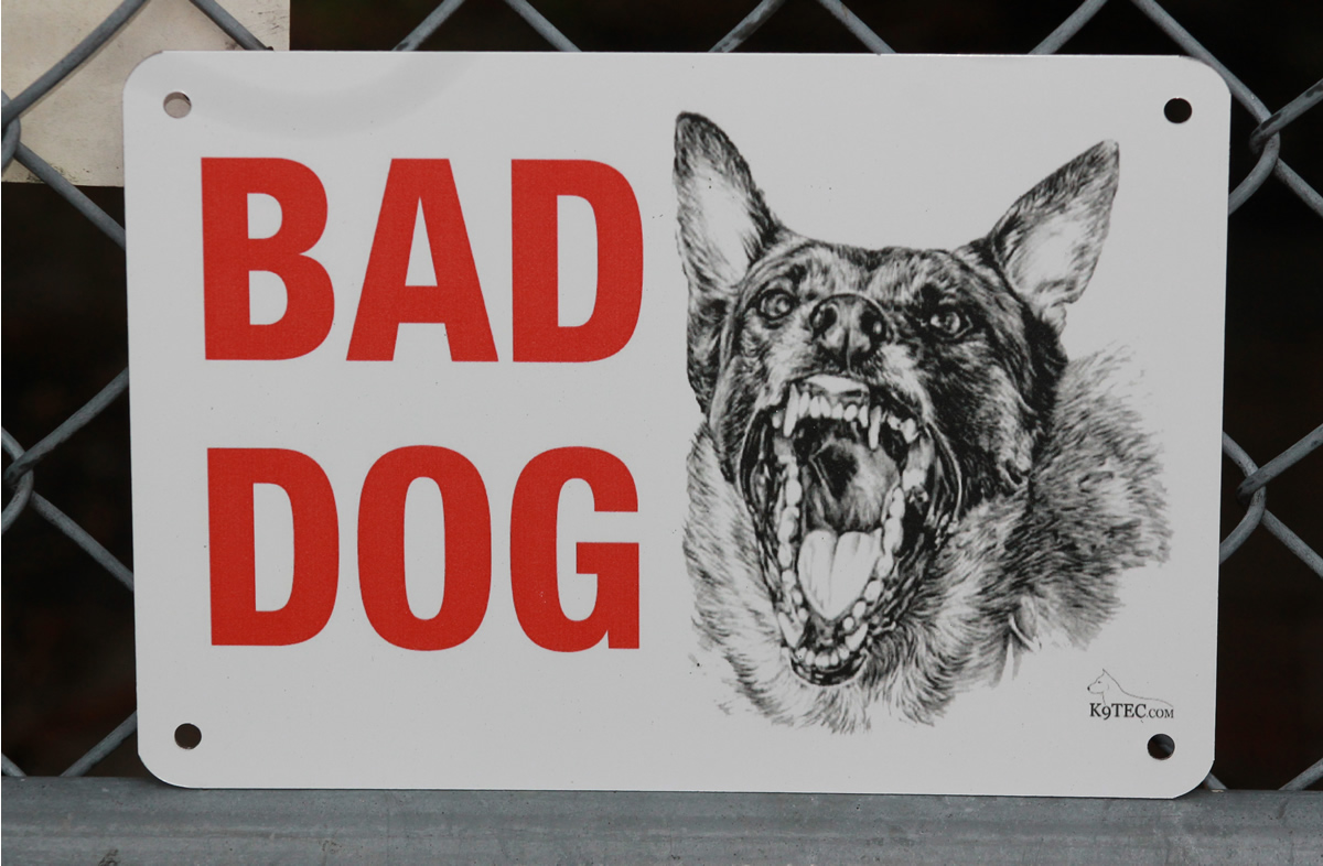 Put the dog. Бэд догс. Плохой пес. Bad Bad Dog Стикеры. Табличка металлическая Bad Dog.